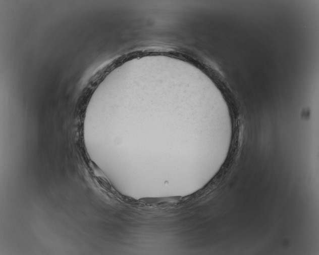 X0000115691448200912241451
