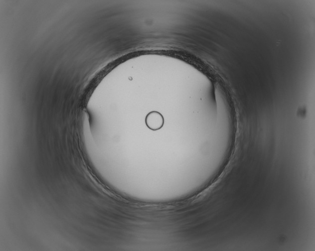 X0000115691449200912241451