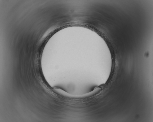 X0000115691450200912241451