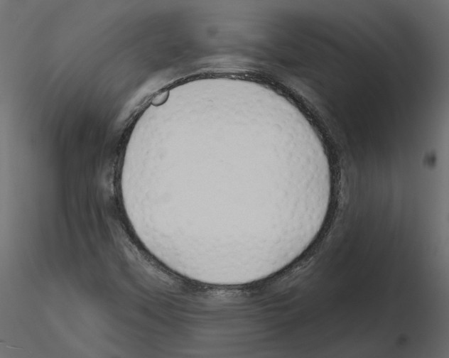 X0000115691451200912241451