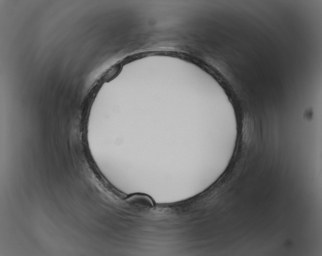 X0000115691452200912241451