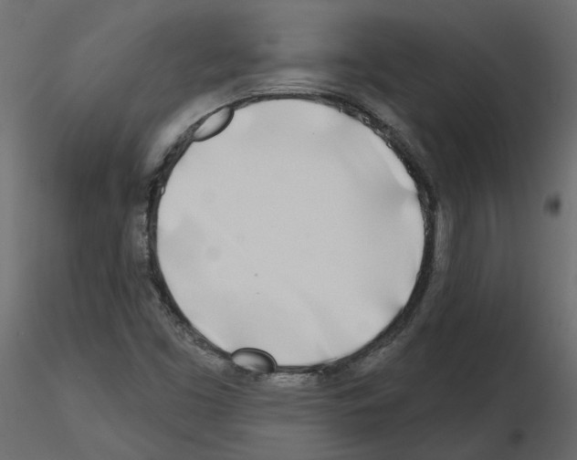 X0000115691453200912241451