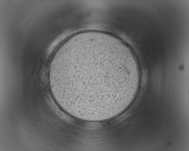 X0000115691454200912241451