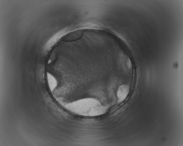X0000115691455200912241451