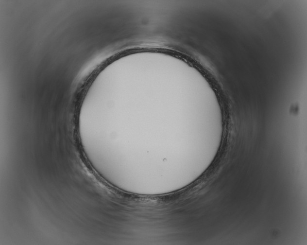 X0000115691456200912241451