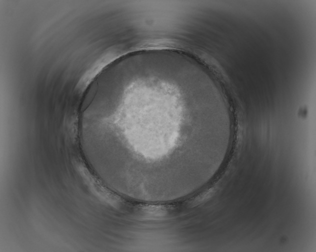 X0000115691457200912241451
