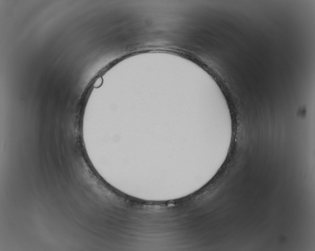 X0000115691458200912241451