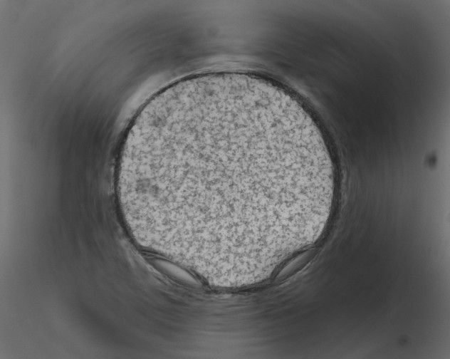 X0000115691459200912241451