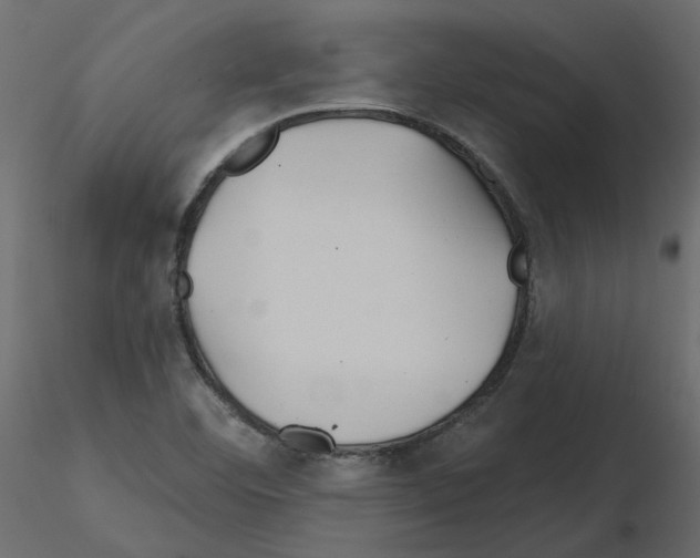X0000115691460200912241451