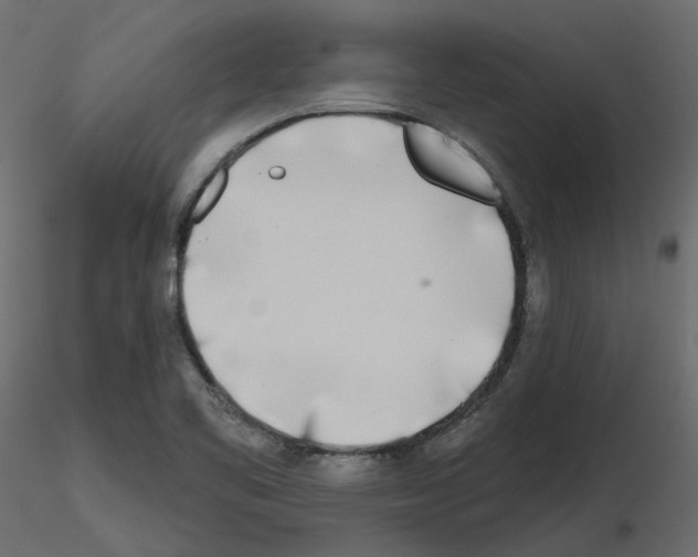 X0000115691461200912241451