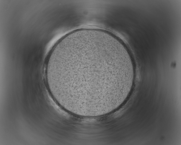 X0000115691462200912241451