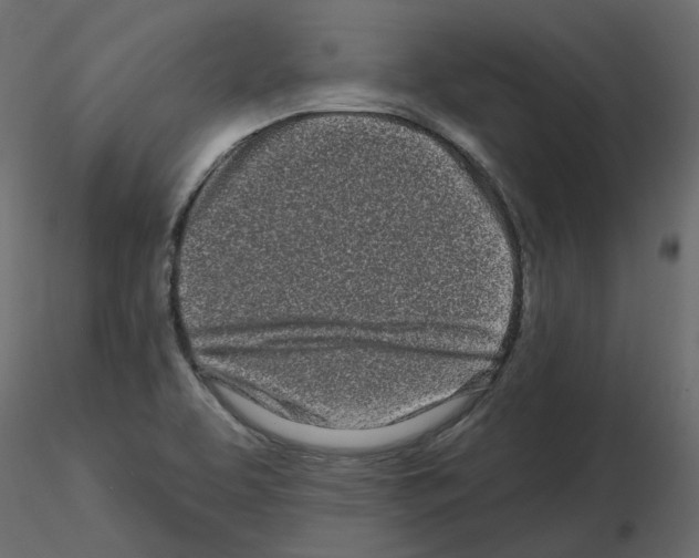 X0000115691463200912241451