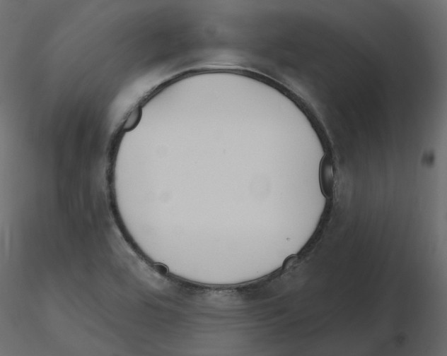 X0000115691464200912241451