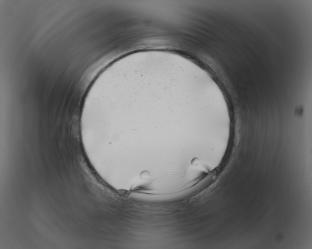 X0000115691465200912241451