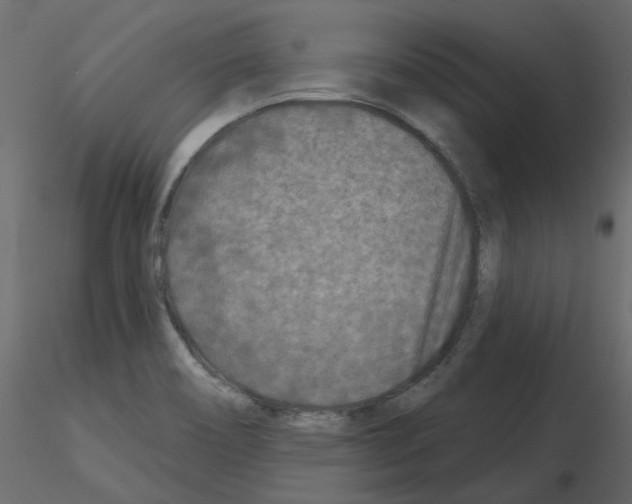 X0000115691466200912241451