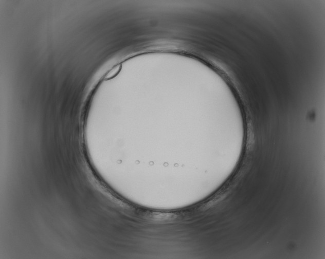 X0000115691467200912241451