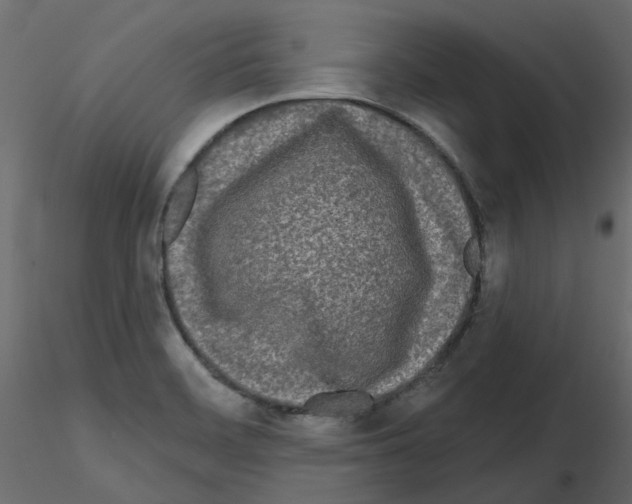 X0000115691468200912241451