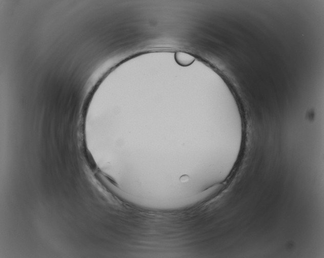 X0000115691469200912241451