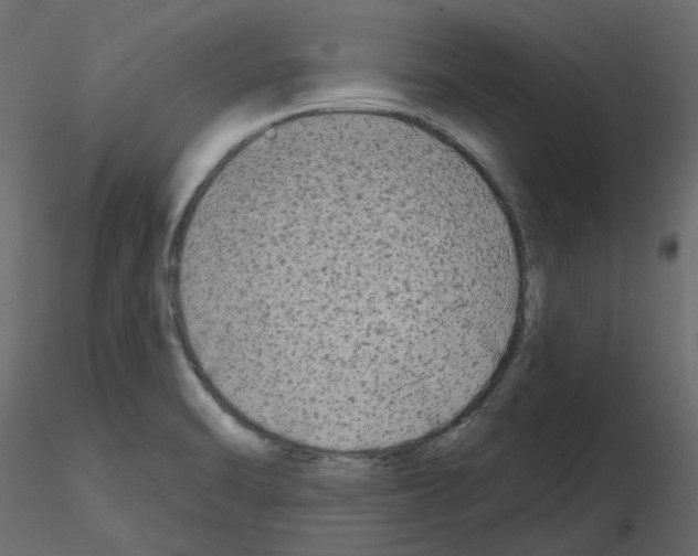 X0000115691470200912241451