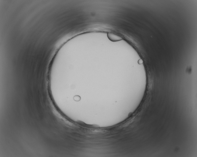 X0000115691471200912241451