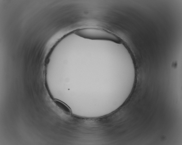 X0000115691472200912241451