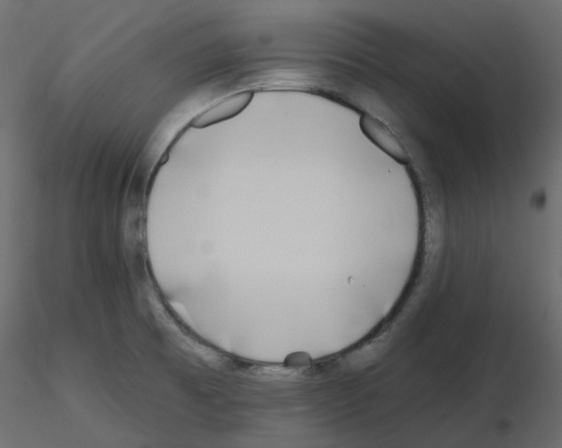 X0000115691473200912241451