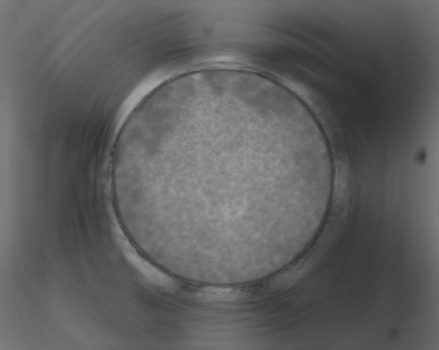 X0000115691474200912241451