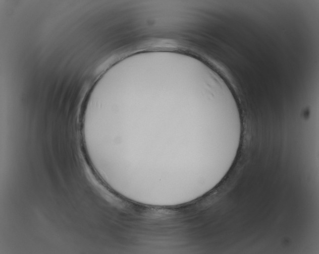 X0000115691475200912241451