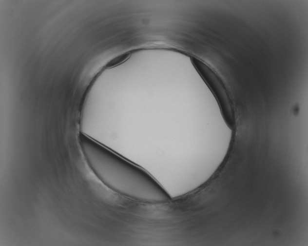 X0000115691476200912241451