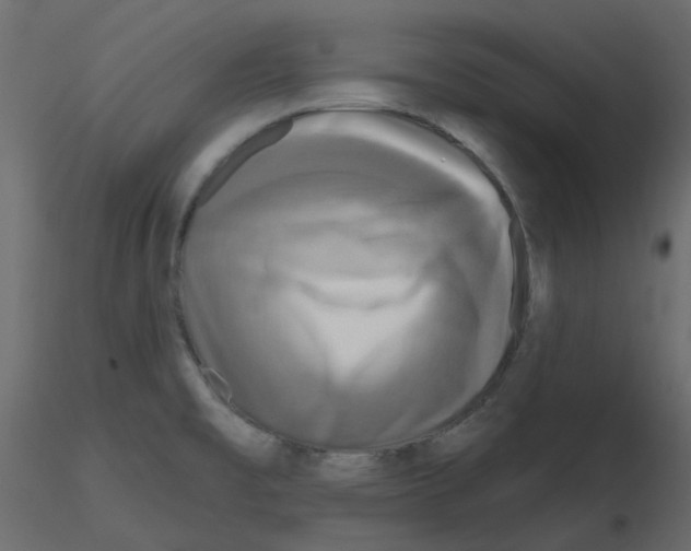 X0000115691477200912241451