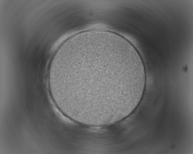 X0000115691478200912241451