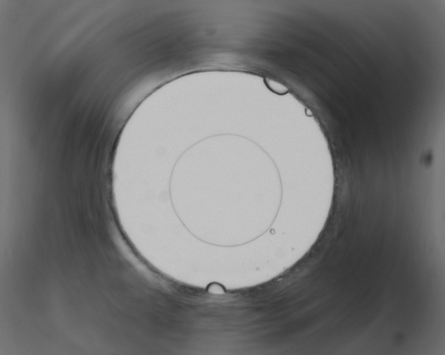 X0000115691479200912241451