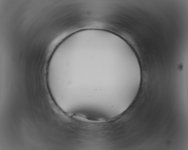 X0000115691480200912241451