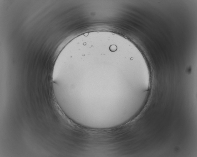 X0000115691481200912241451