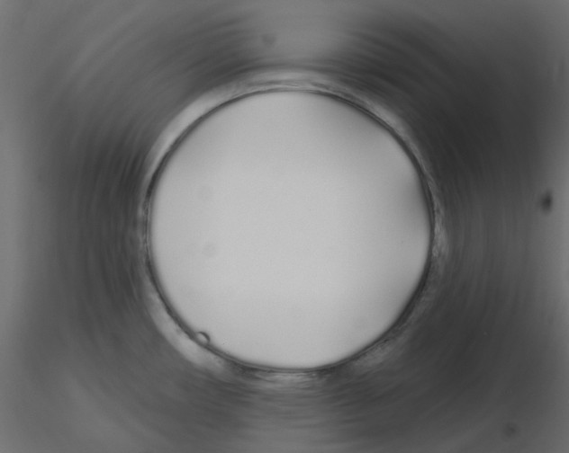 X0000115691482200912241451