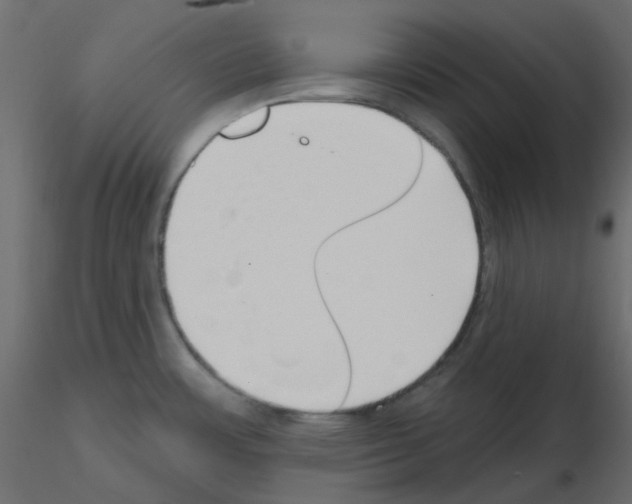 X0000115691483200912241451