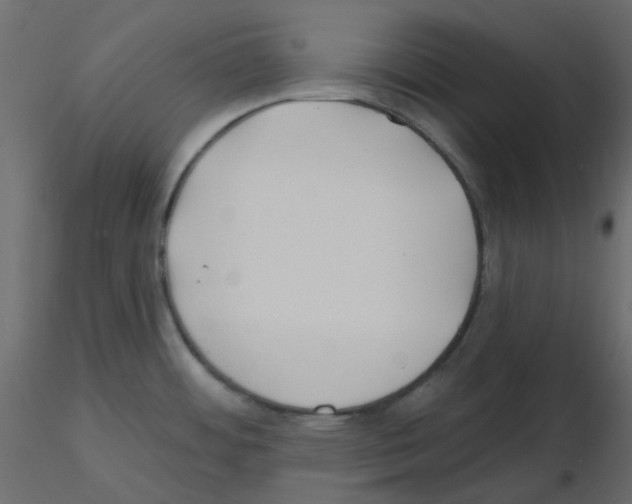 X0000115691484200912241451