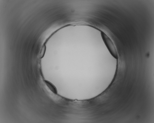 X0000115691485200912241451