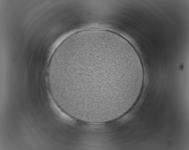 X0000115691486200912241451
