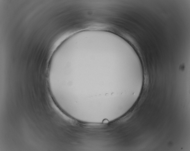 X0000115691487200912241451