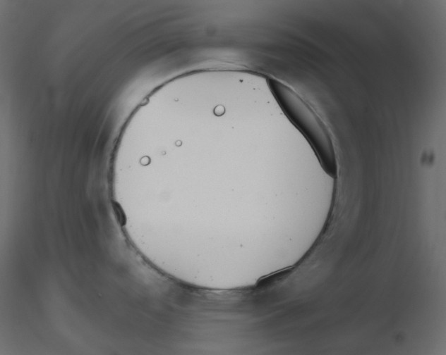 X0000115691488200912241451