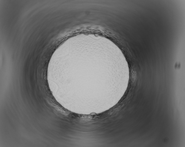 X0000115691489200912241450
