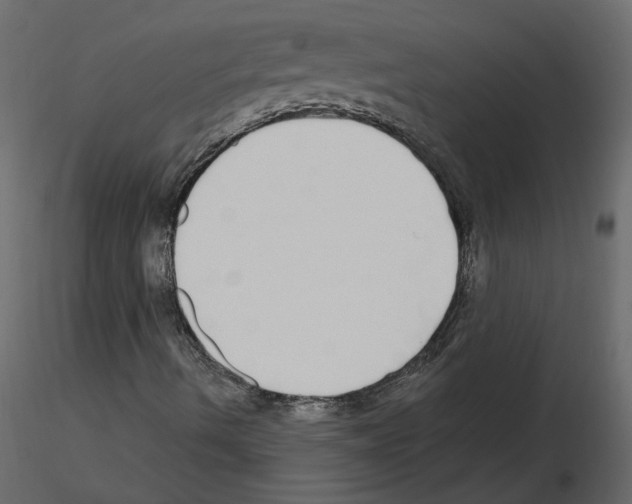X0000115691490200912241450
