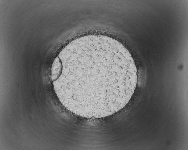 X0000115691491200912241450