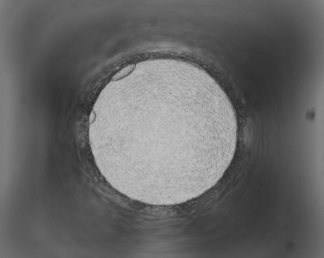 X0000115691493200912241450
