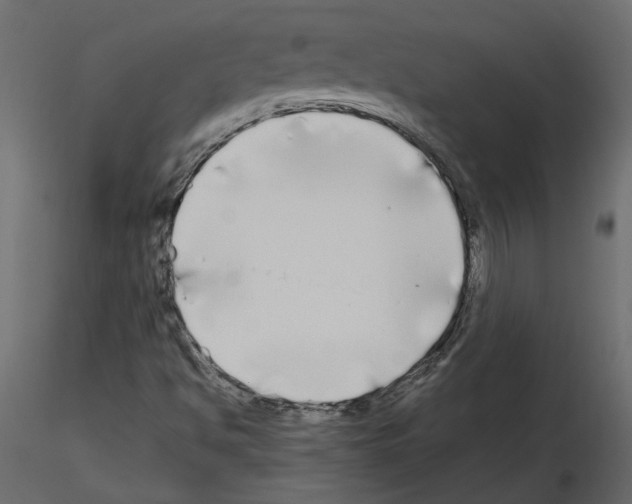 X0000115691494200912241450