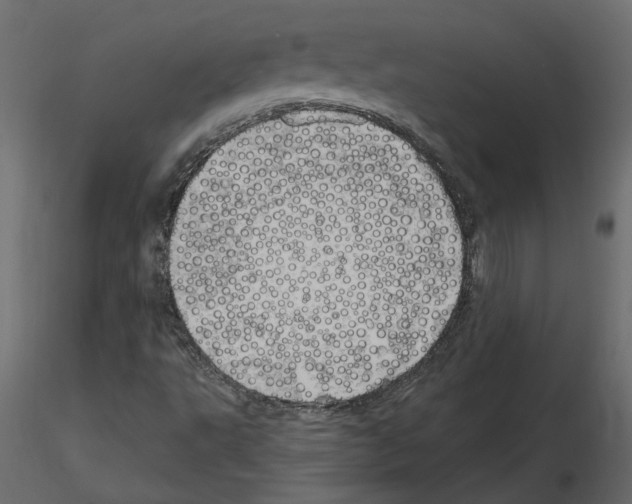 X0000115691495200912241450