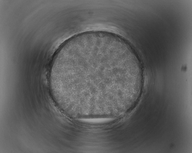 X0000115691497200912241450