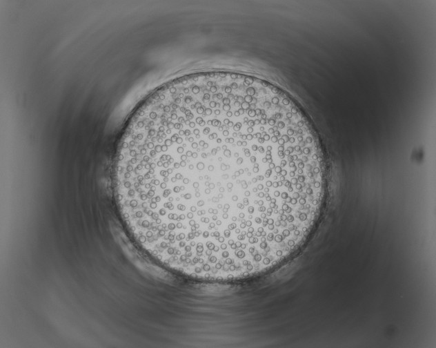 X0000115691499200912241450