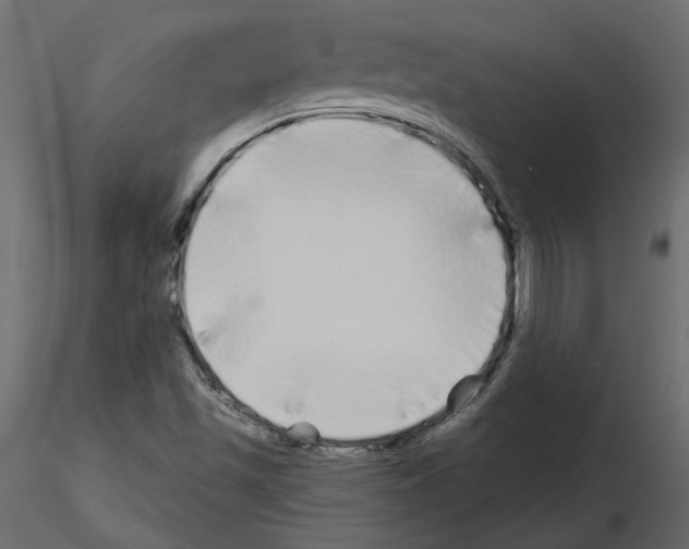 X0000115691501200912241450